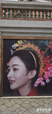 【悅見小滿】吾愛梧林