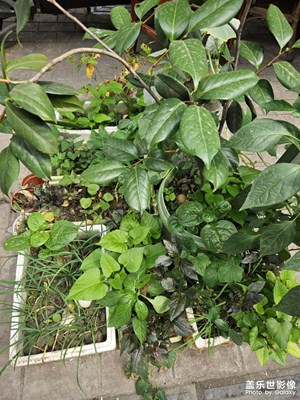 【悅見小滿】知足常樂