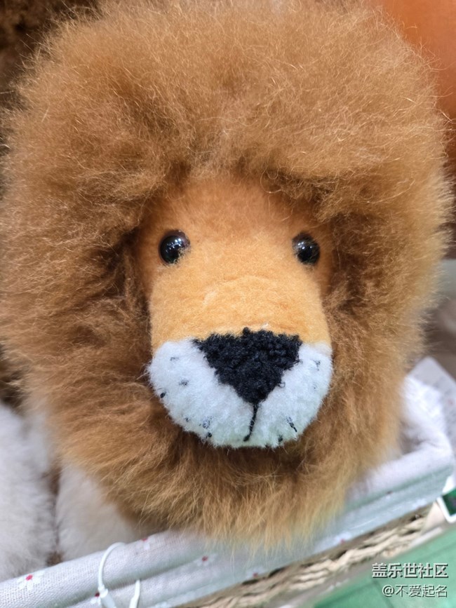 【 長焦與微距】毛絨萌物