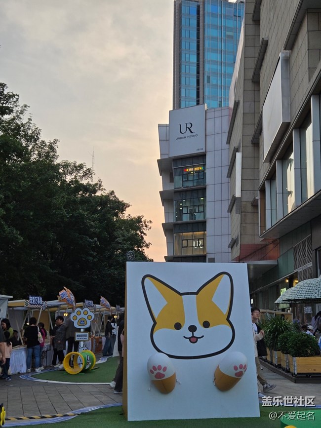 【 長焦與微距】貓狗市集