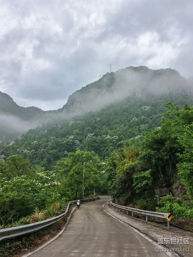 【Galaxy影像】#立夏·初夏之約