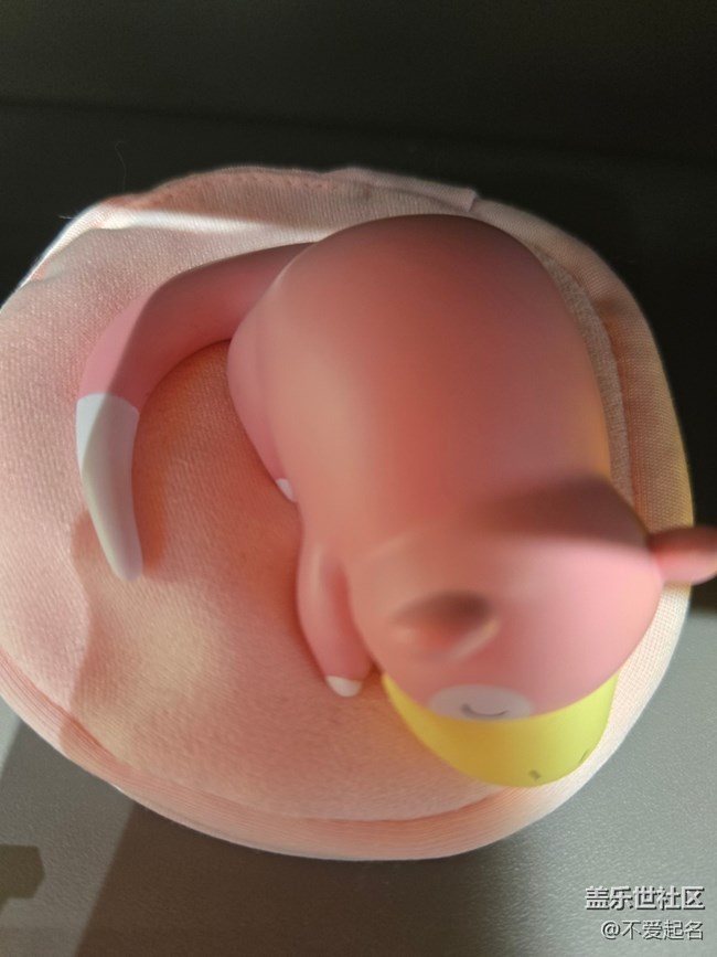 【 長焦與微距】寶可夢午睡