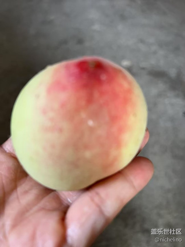 【夏日清涼】野果