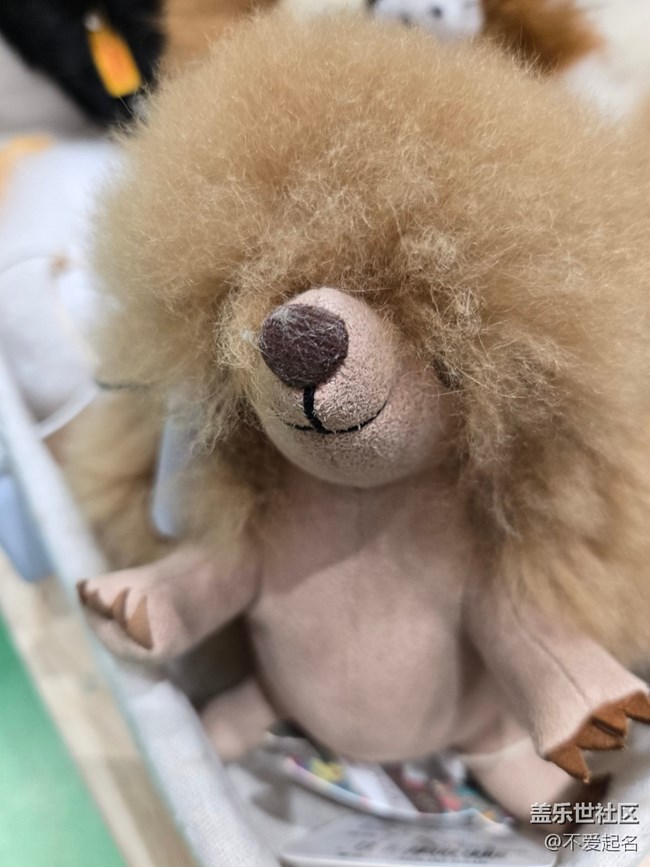 【 長焦與微距】毛絨萌物