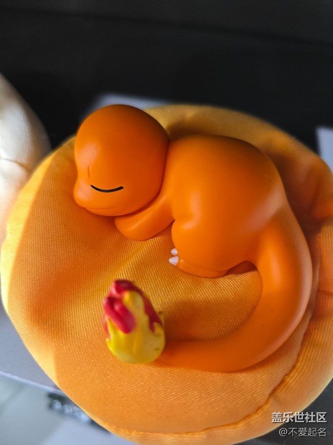 【 長焦與微距】寶可夢午睡