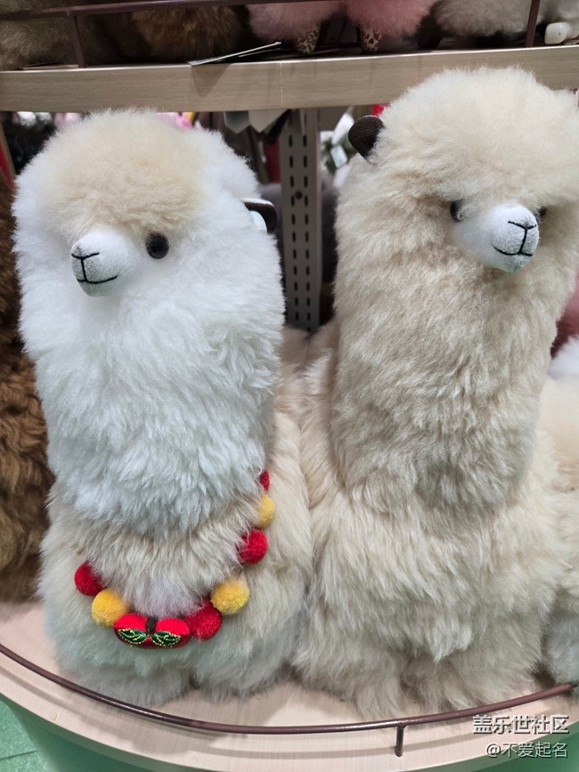 【 長焦與微距】毛絨萌物