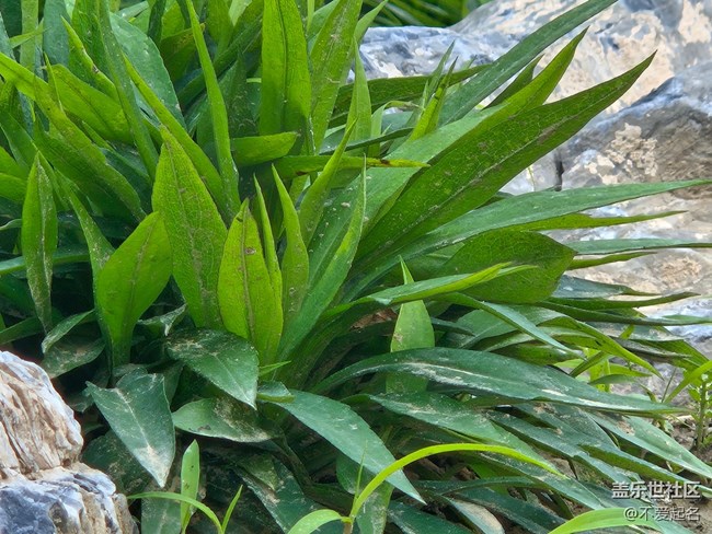 【 長(zhǎng)焦與微距】昆蟲(chóng)搬家