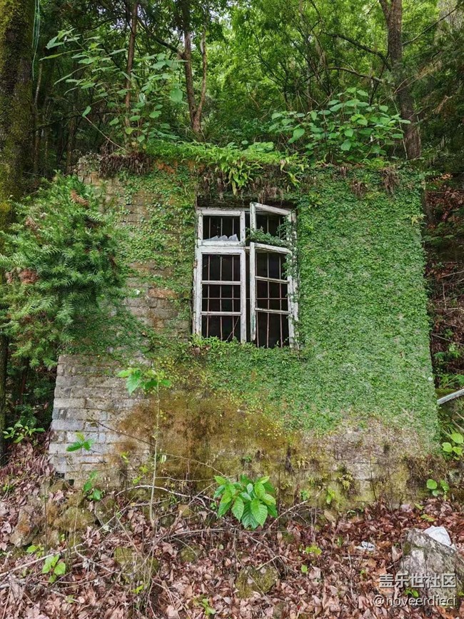 【Galaxy影像】#立夏·初夏之約