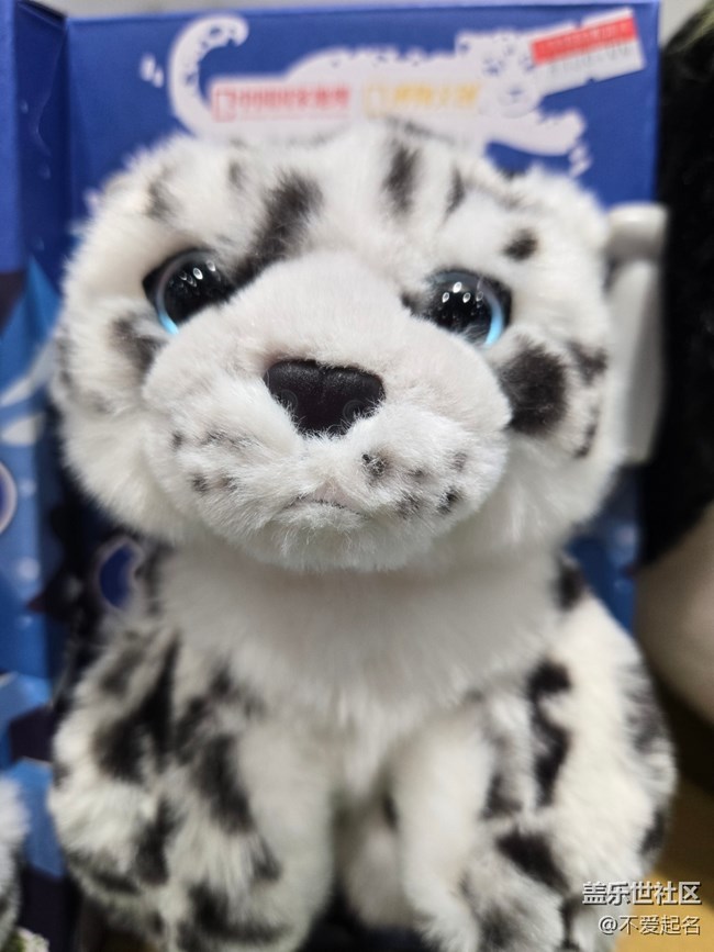 【 長焦與微距】毛絨萌物