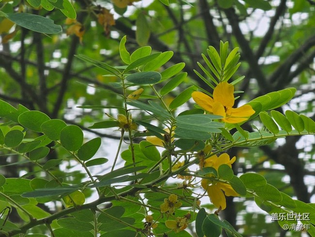 #五月滿園芳——五月有花開
