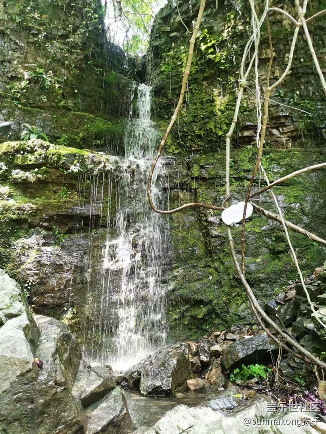 【Galaxy影像】#立夏·初夏之約