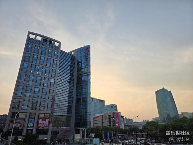 【 長焦與微距】貓狗市集