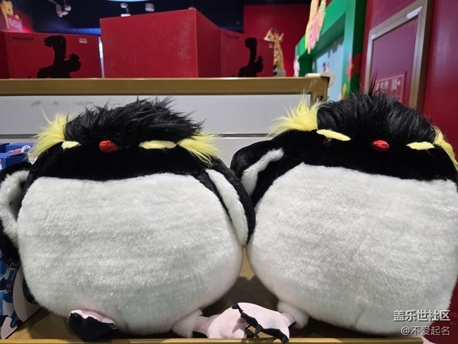 【 長焦與微距】毛絨萌物