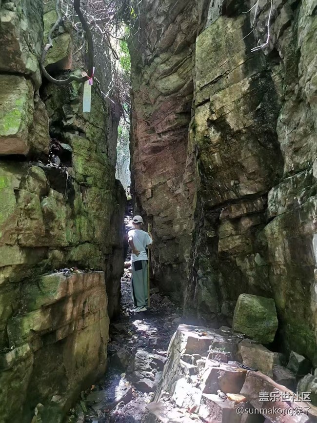 【Galaxy影像】#立夏·初夏之約