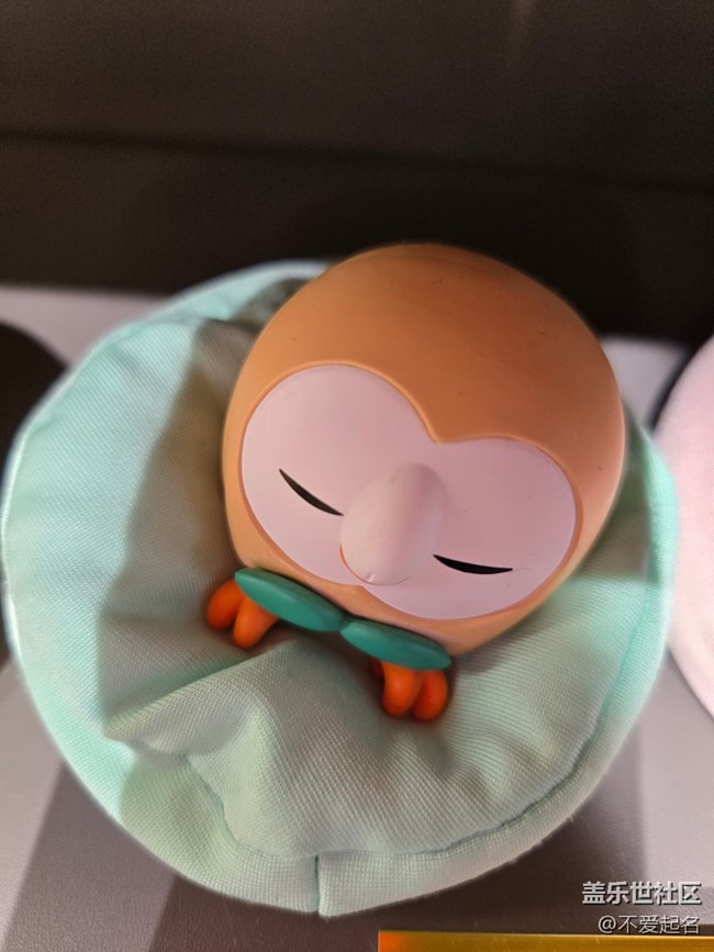 【 長焦與微距】寶可夢午睡