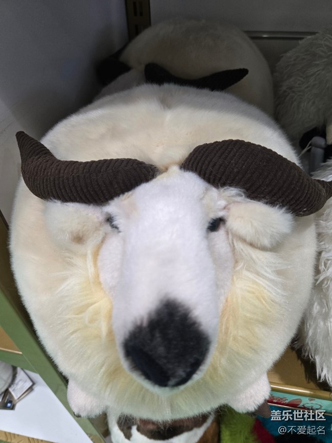 【 長焦與微距】毛絨萌物