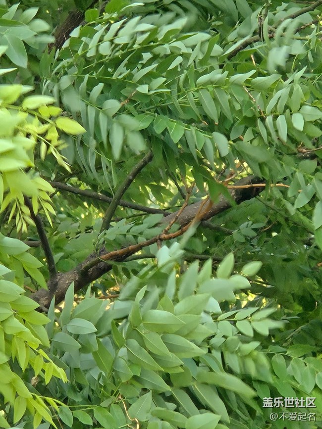 【 長(zhǎng)焦與微距】西直門(mén)