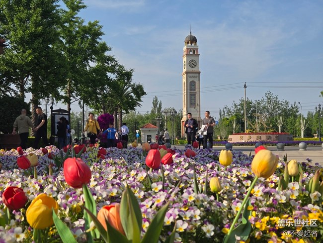 【 長(zhǎng)焦與微距】春日花海