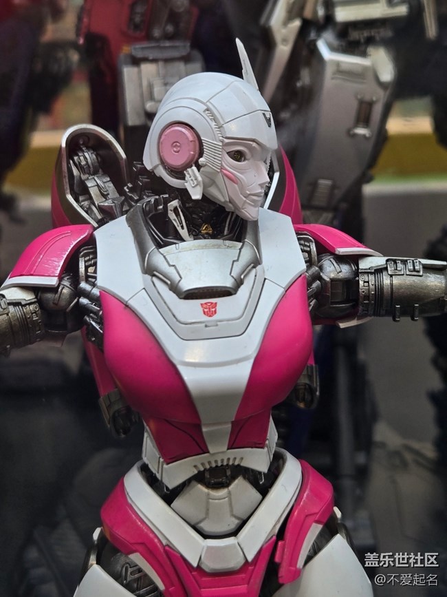 【 長焦與微距】變形金剛