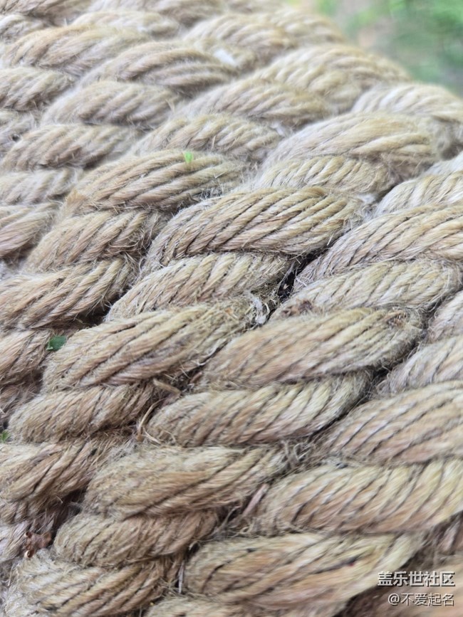 【 長焦與微距】小橋