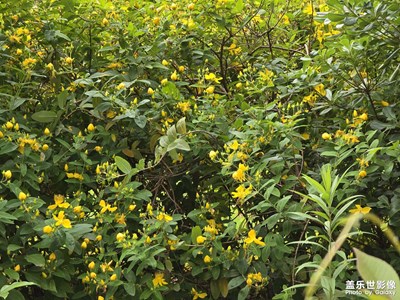 【悅見小滿】+小滿出去走走