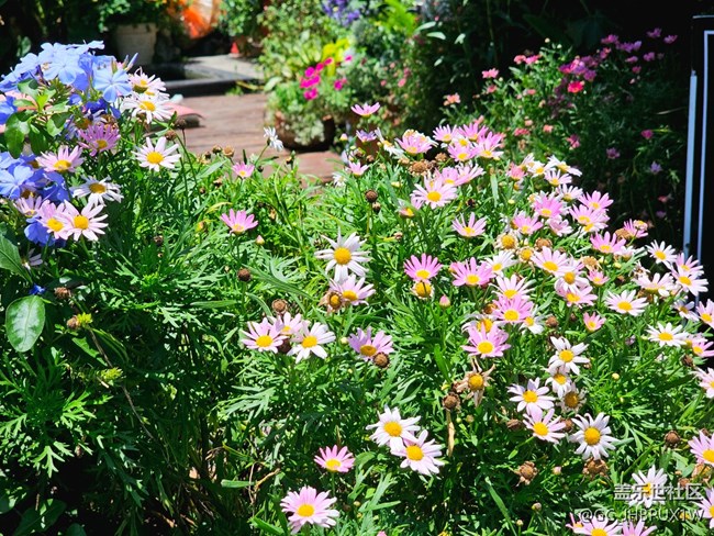 【Galaxy影像】#立夏·初夏之約