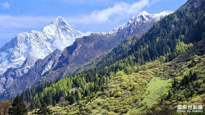 【悅見小滿】+徒步四姑娘山長坪溝