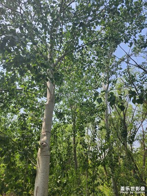 悅見小滿 隨手一拍