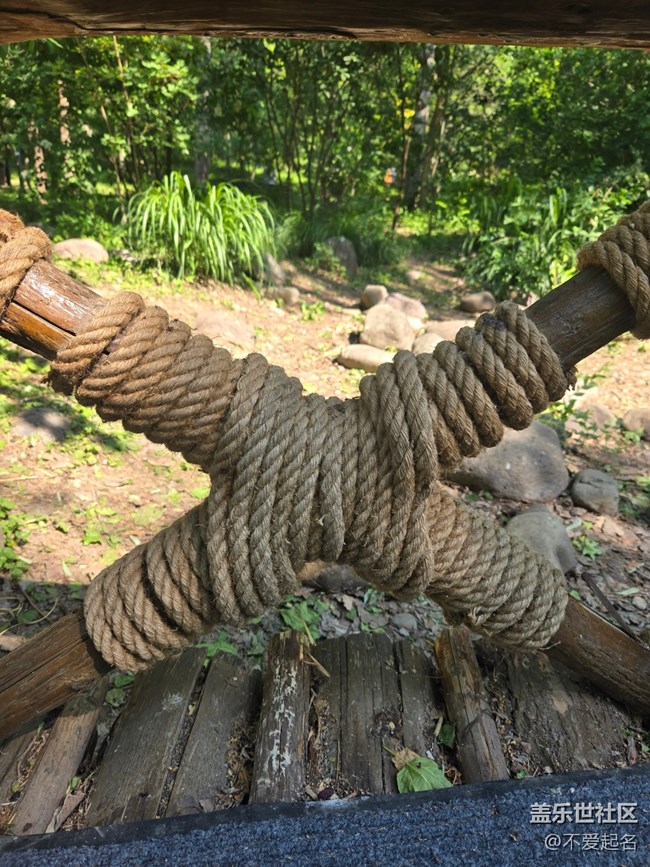 【 長焦與微距】小橋