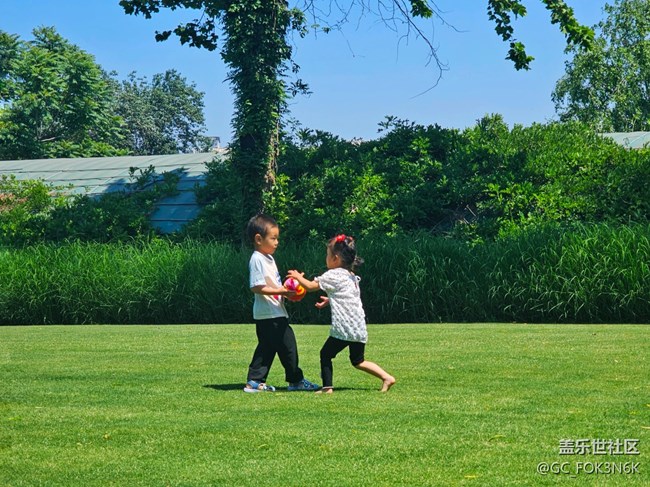 【京順園公園】+浪漫公園的孩子們