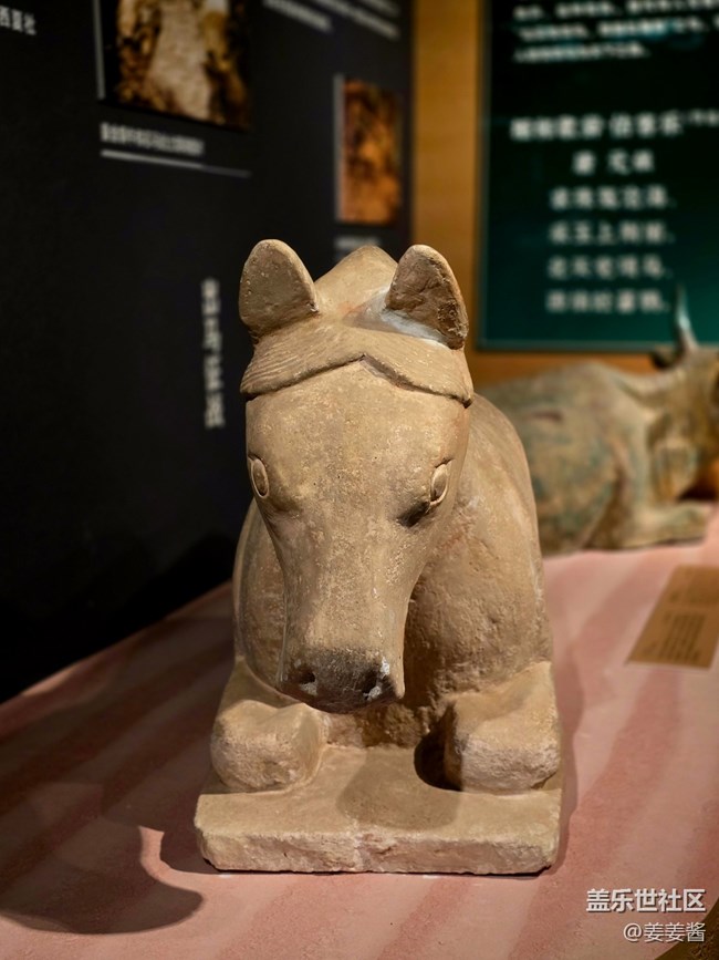 【賀蘭山下桃花石線下攝影活動】+清除反射