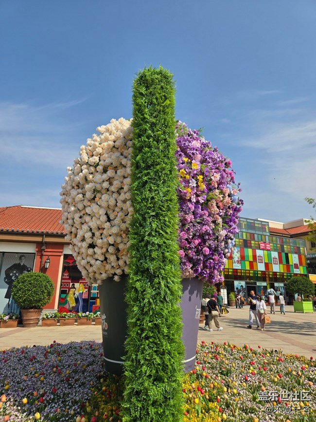 【 長(zhǎng)焦與微距】春日花海