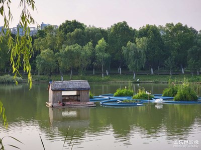 【悅見小滿】+公園美景