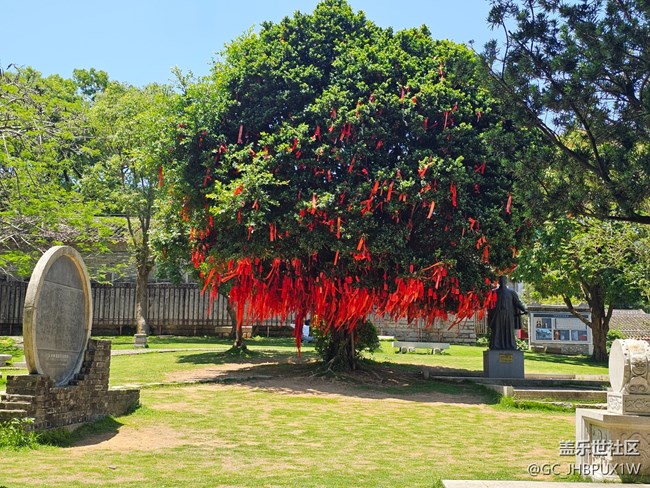 【Galaxy影像】#立夏·初夏之約