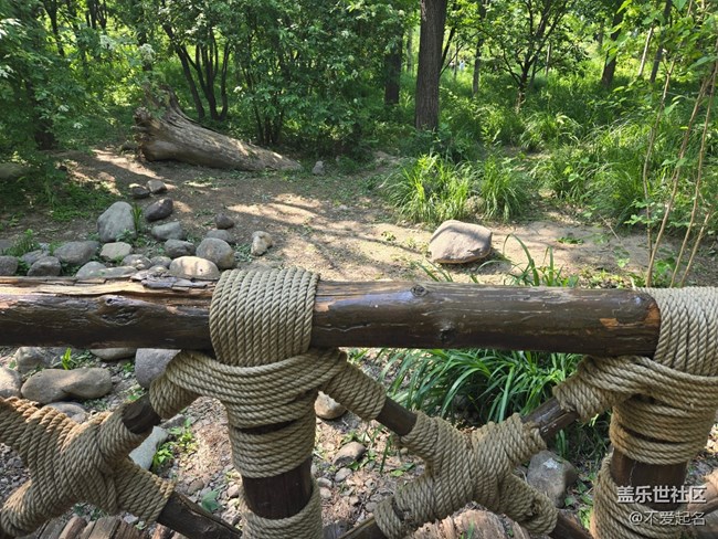 【 長焦與微距】小橋