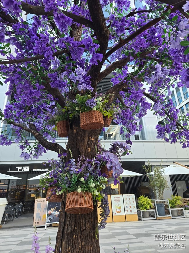 【 長焦與微距】夏天的廣場