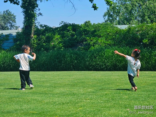 【 長焦與微距】嬉戲的孩子們