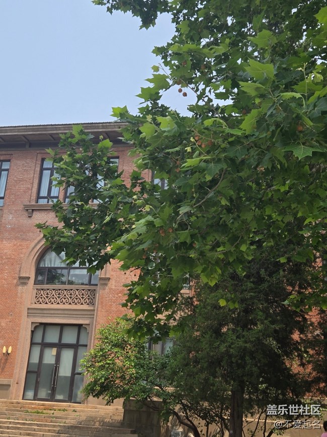 【 長焦與微距】校園