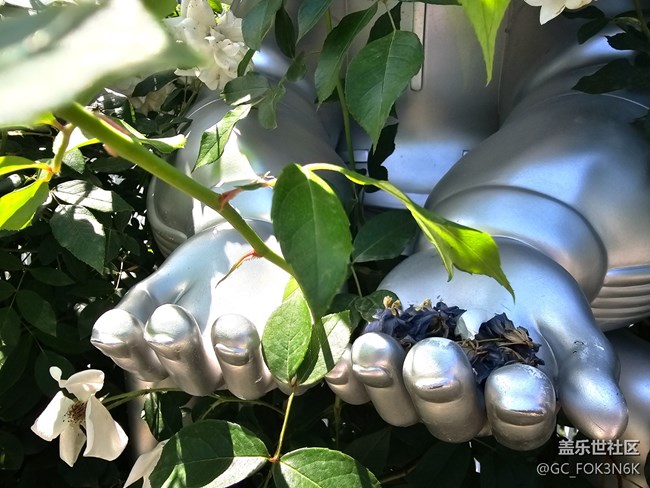 【京順園公園】+浪漫公園的孩子們