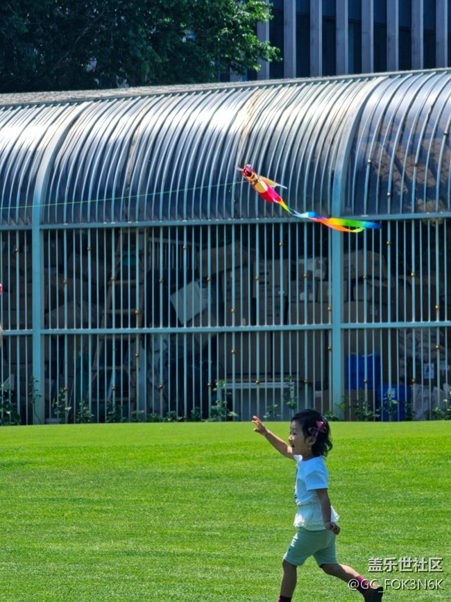 【京順園公園】+浪漫公園的孩子們