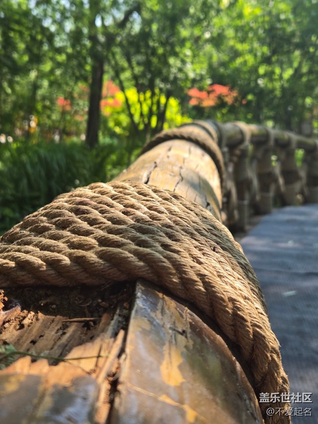 【 長焦與微距】小橋