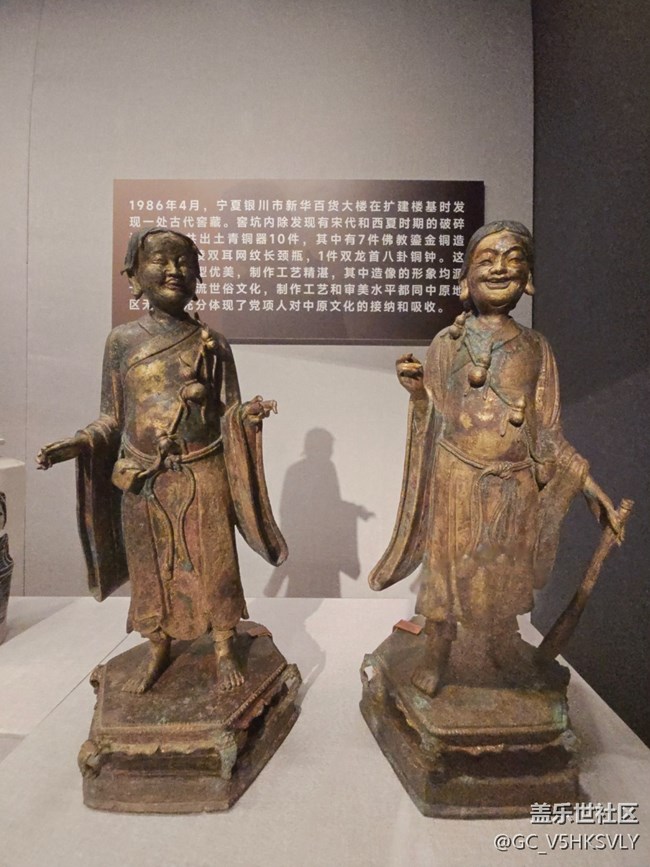 【賀蘭山下桃花石線下攝影活動(dòng)】+西夏文明