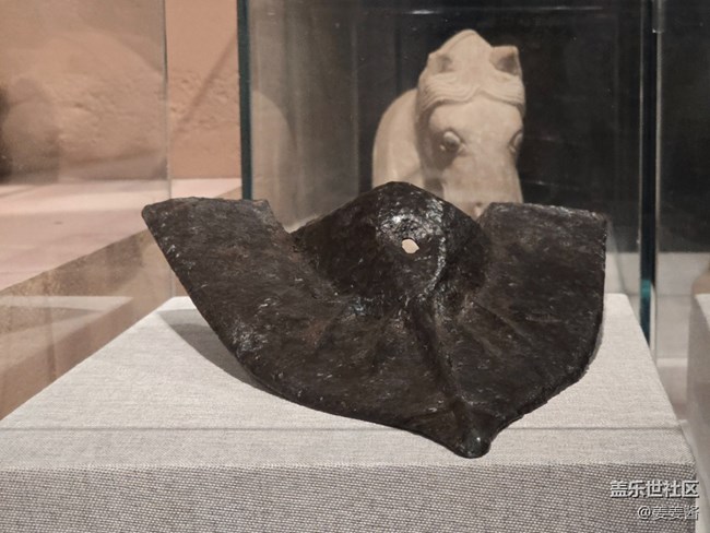 【賀蘭山下桃花石線下攝影活動】+清除反射