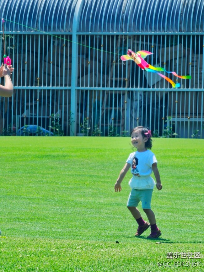 【 長焦與微距】嬉戲的孩子們