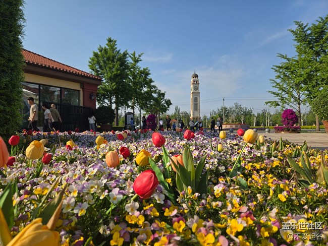 【 長(zhǎng)焦與微距】春日花海