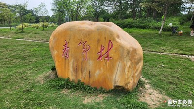 【悅見小滿】小滿