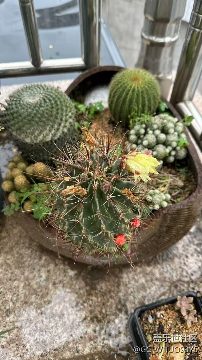 【Galaxy影像】#立夏·初夏之約