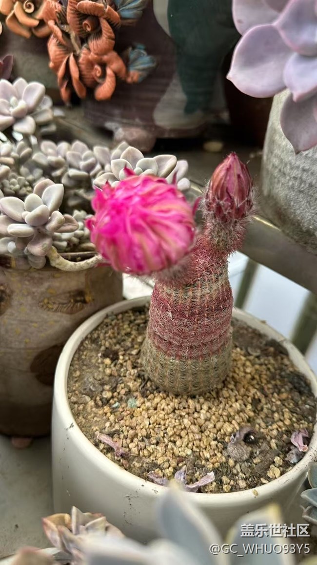 【Galaxy影像】#立夏·初夏之約