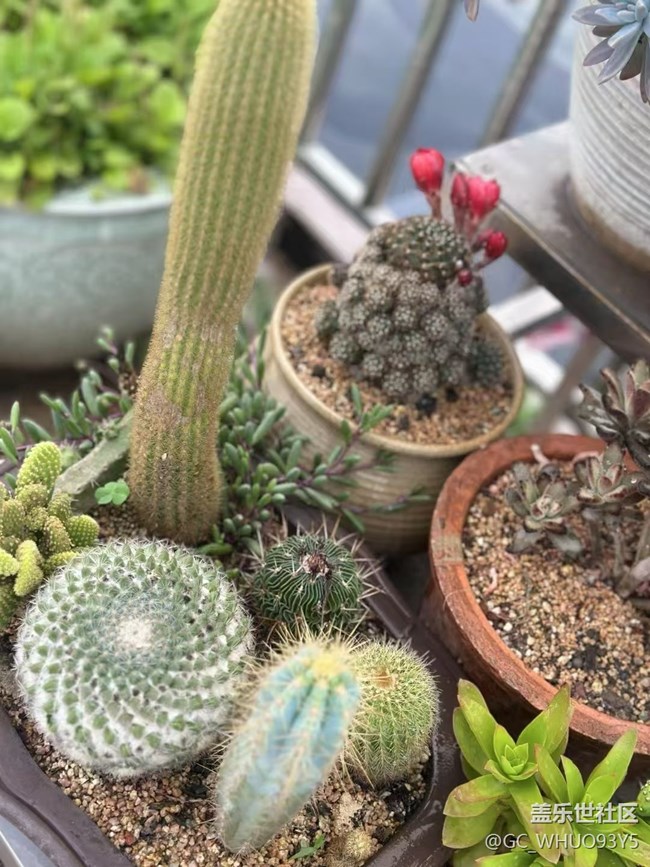 【Galaxy影像】#立夏·初夏之約