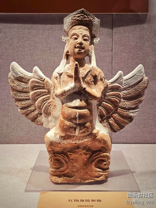 上海星部落5月24日賀蘭山下桃花石線下攝影活動(dòng)回顧帖